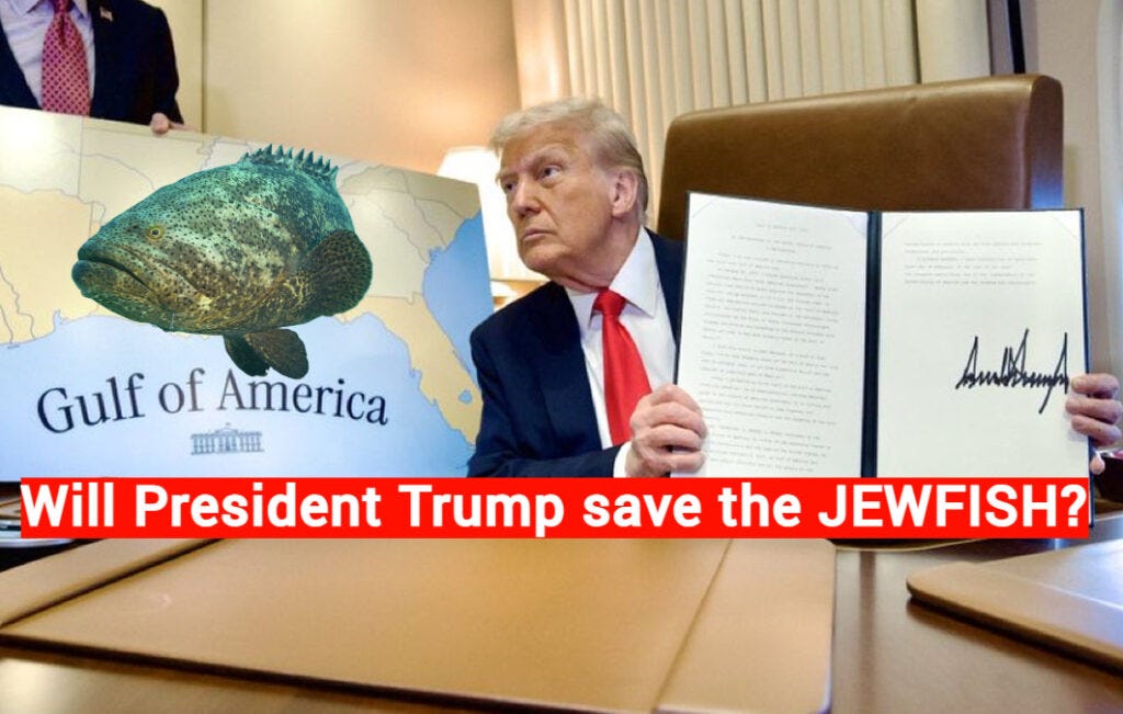 Jewfish Redux: President Trump is urged to restore the name and reverse a woke insult to Israel and Judeo-Christian heritage. The Goliath Grouper must go because it is based on a false narrative spun out of "political correctness." Jewfish Redux: President Trump is urged to restore the name and reverse a woke insult to Israel and Judeo-Christian heritage. The Goliath Grouper must go because it is based on a false narrative spun out of "political correctness."