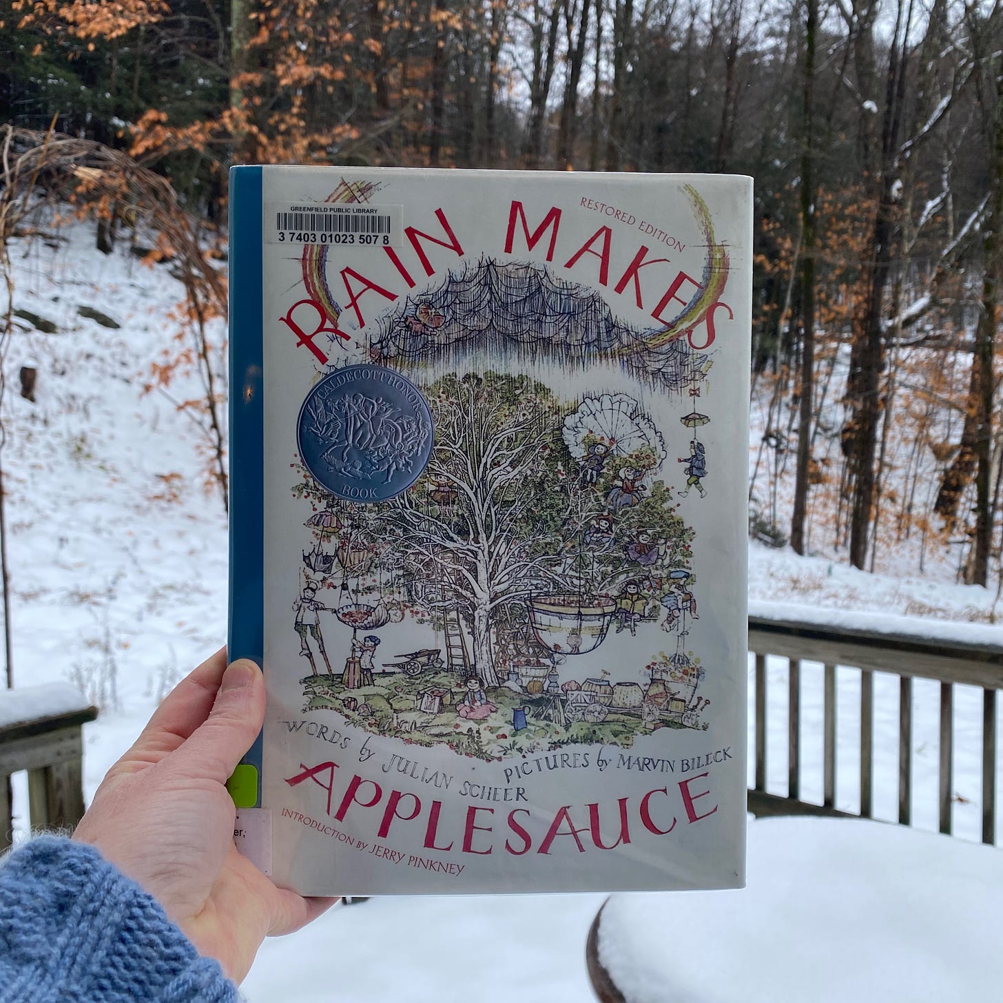 I’m holding this book up in front of my snow-covered porch.