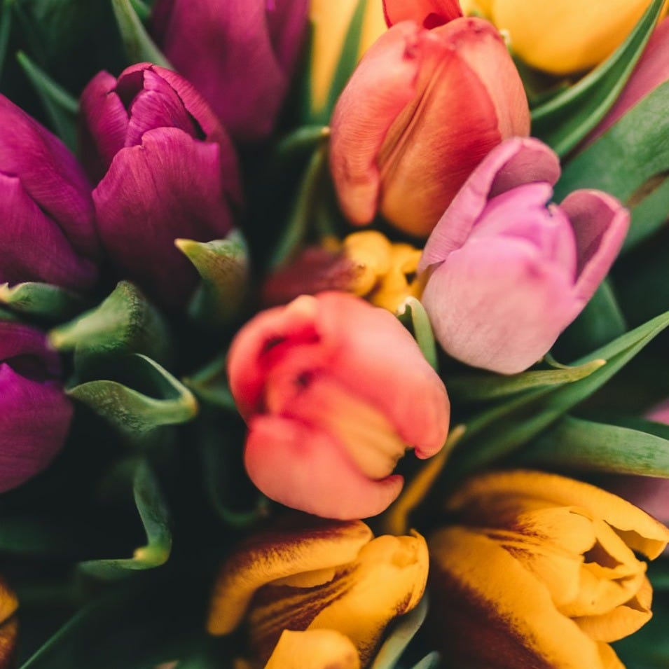 assorted flowers assorted flowers