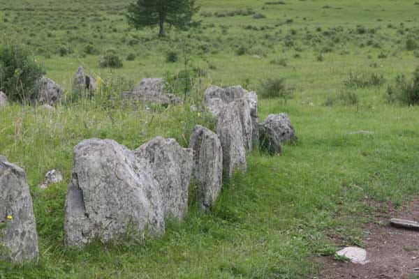 Flat upright rocks in a row with green grassy surroundings