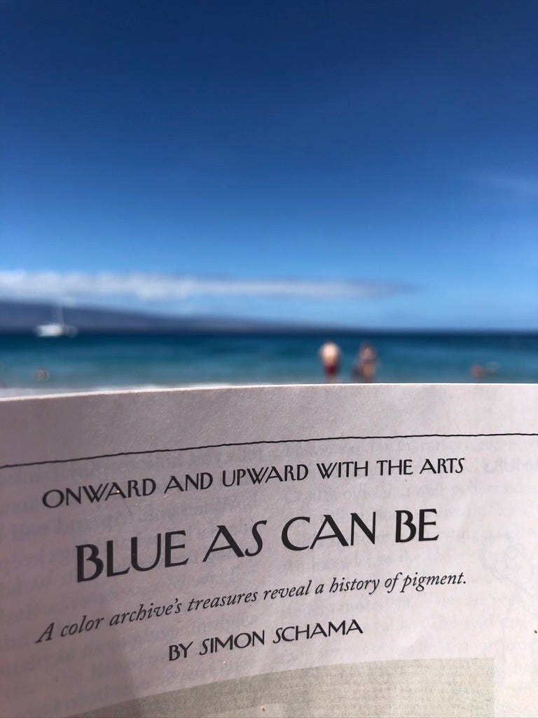 This is a photo I took in 2018 at a beach in Maui. The sky is blue and the ocean is various shades of blues. I was reading the New Yorker and the issue happened to have an article called “Blue As Can Be.” So I’m holding it in front of the beach. 