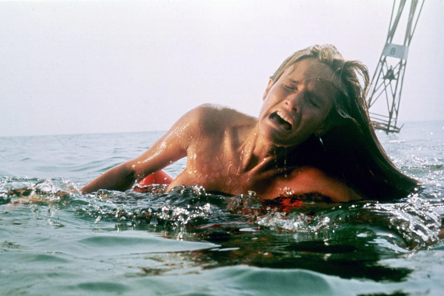 Image tirée du film d'horreur avec un animal tueur : Les Dents de la mer