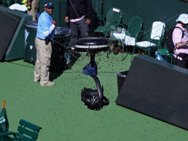 Play is suspended on stadium one because of a swarm of bees on a spidercam during an ATP quarterfinals match between Carlos Alcaraz and Alexander...