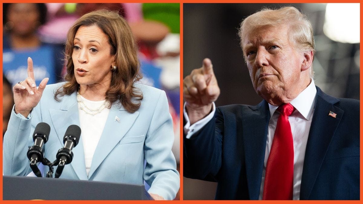 Never Again': Kamala Harris Suggests Which Dizzying Donald Trump  Declaration Might Have Been The Final Nail In His Political Coffin