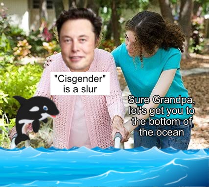 It’s the "sure, Grandma let’s get you to bed meme" but it’s Elon Musk and he saying "cisgender is a slur" and the granddaughter says "sure grandpa, let’s get you to the bottom of the ocean." at the bottom of the meme there’s clipart of a cartoon  orca jumping out of the ocean