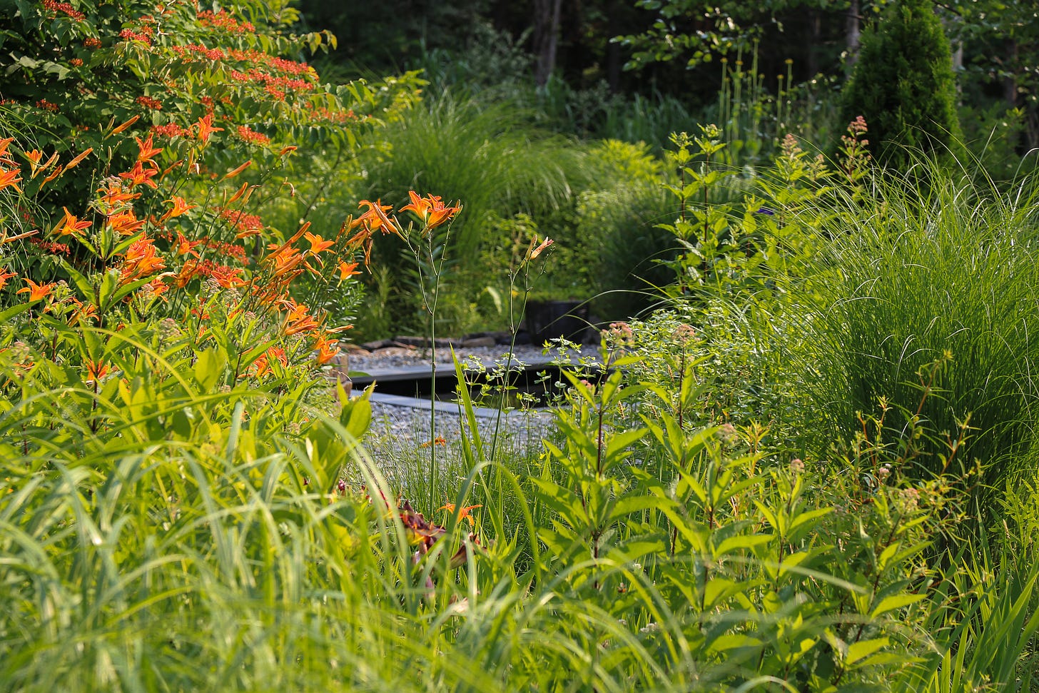 Planting at Federal Twist. Photo by James Golden