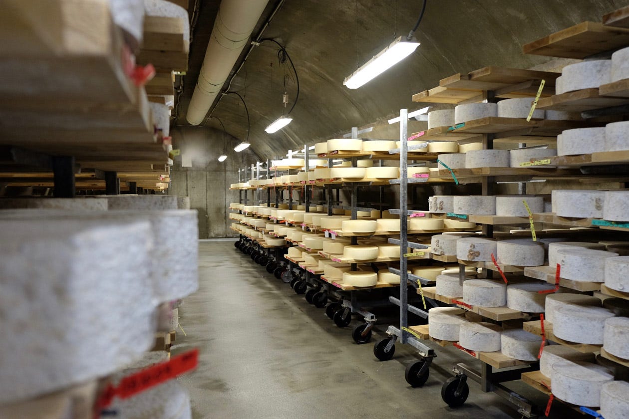 Aging cave for Alpha Tolman at Cellars at Jasper Hill
