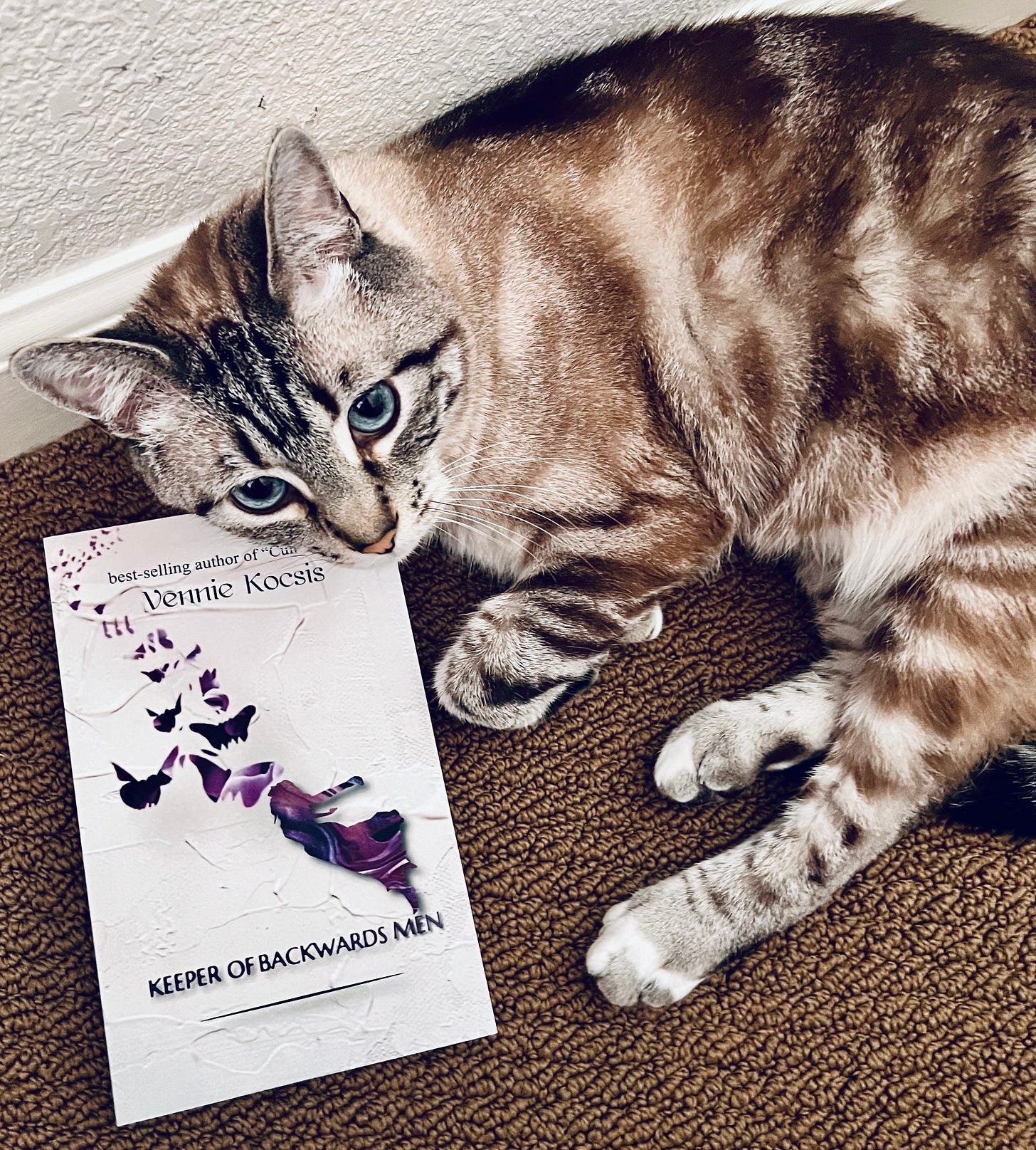 Pip the Cat, promoting Vennie Kocsis' book.