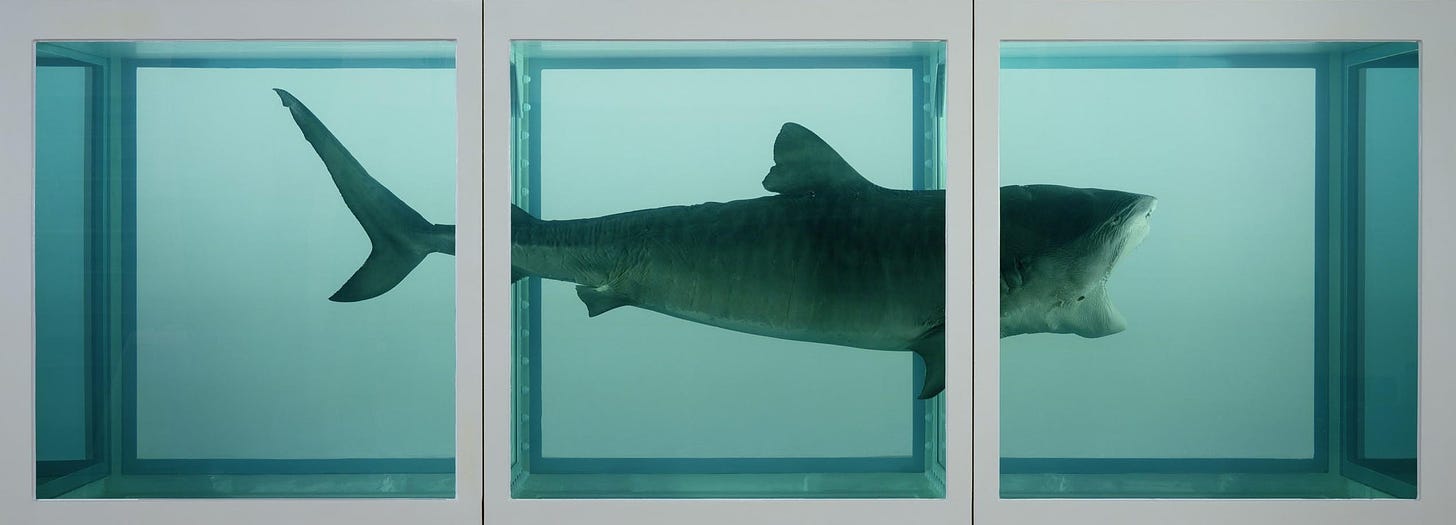 The Physical Impossibility of Death in the Mind of Someone Living by Damien  Hirst - Lucid Practice
