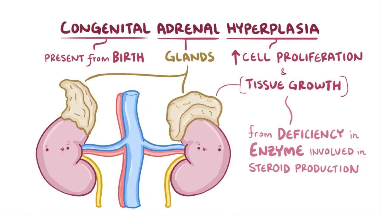 Congenital adrenal hyperplasia: Video & Anatomy | Osmosis