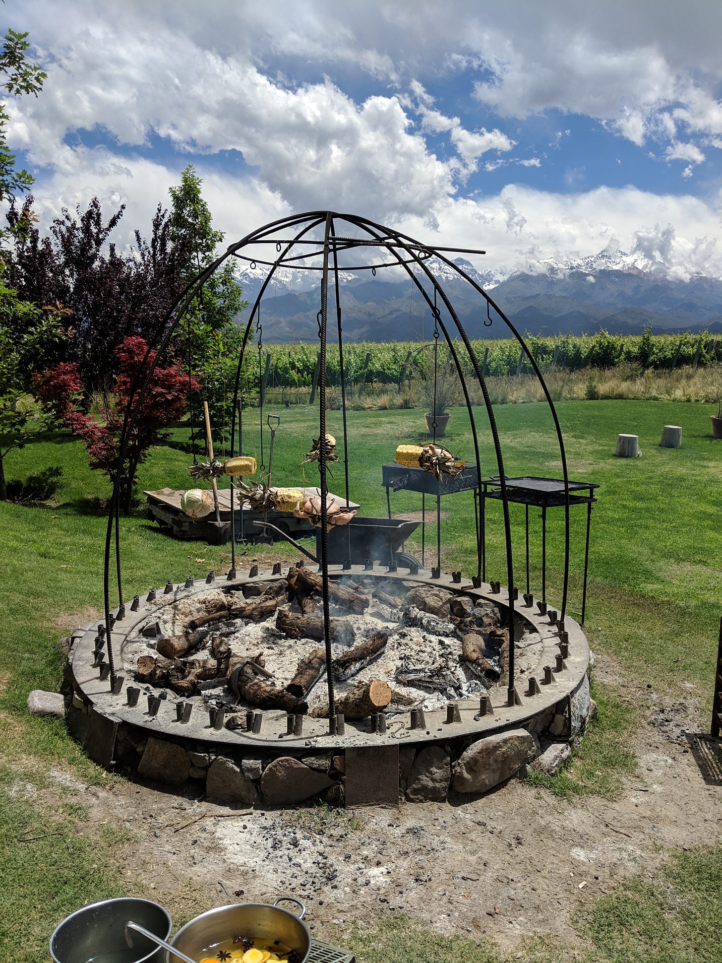 Mendoza, Argentina: The Ultimate Guide 🍷