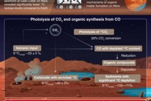 Tracing the origins of organic matter in Martian sediments