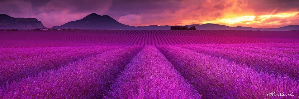 The Fire And The Waves, Provence, France Landscape Image