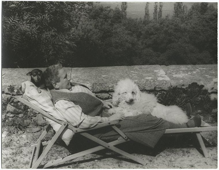 Digital Collections - Gertrude Stein with Basket and Pepe on the terrace of  the villa at Bilignin, June 13, 1934.