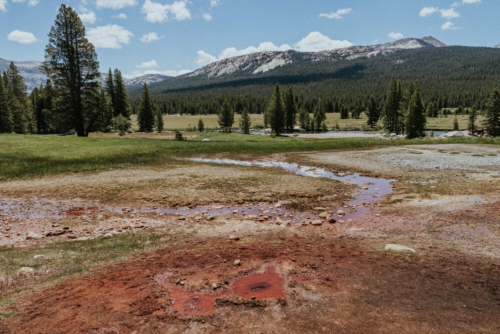 Soda Springs in Tuoloumne Meadows –&nbsp;a quick side quest along the trail where you can witness a geological phenomenon of bubbling water.