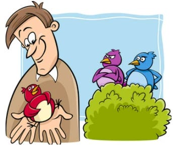An image of a man happy with one bird while two angry birds look on from a bush