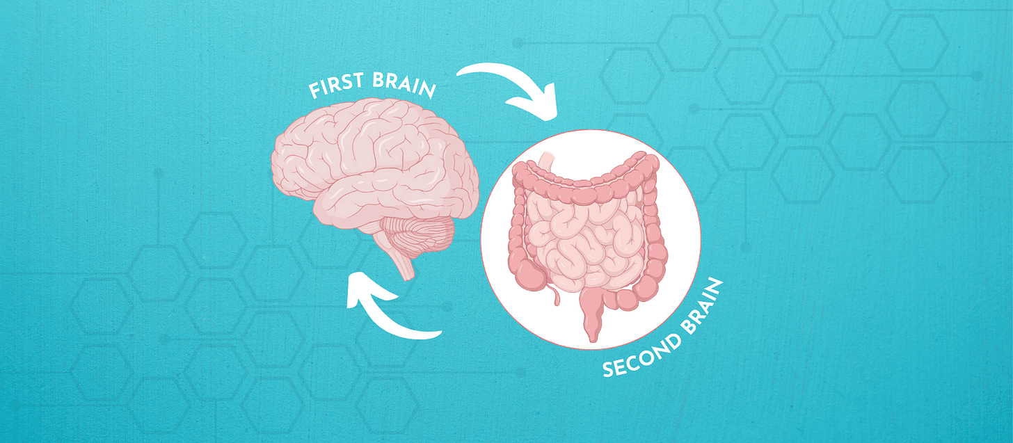 The Second Brain: Unlocking the Secrets of Gut Health for Cognitive Clarity