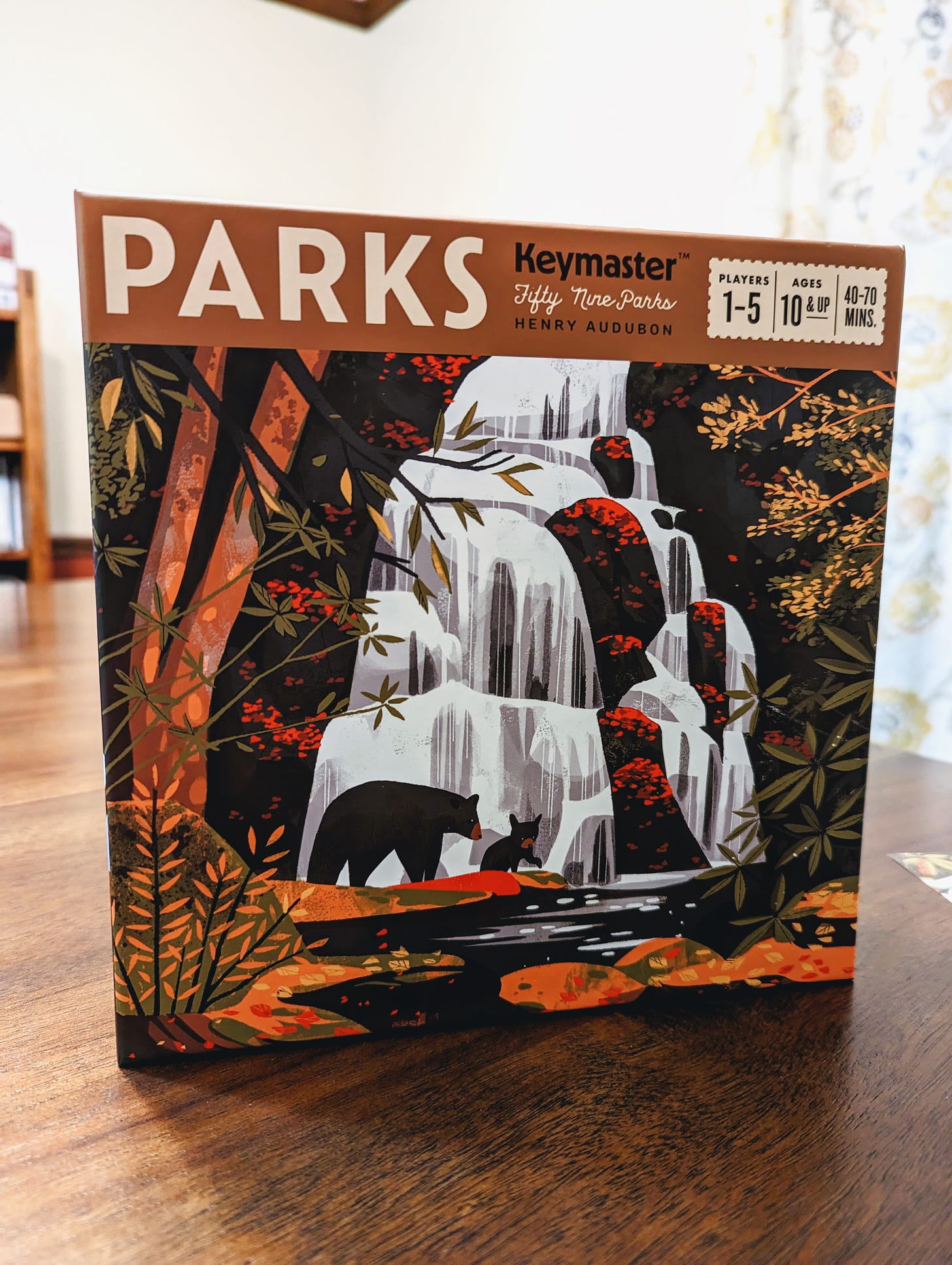 Photo of the Park board game box, depicting a rocky waterfall in earth tones.