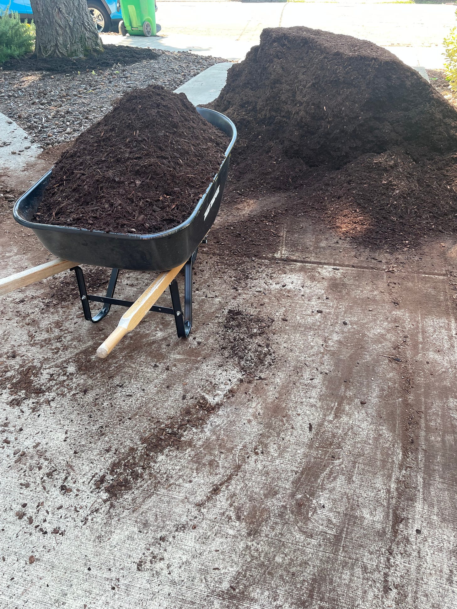 A mound of mulch being loaded into a wheelbarrow