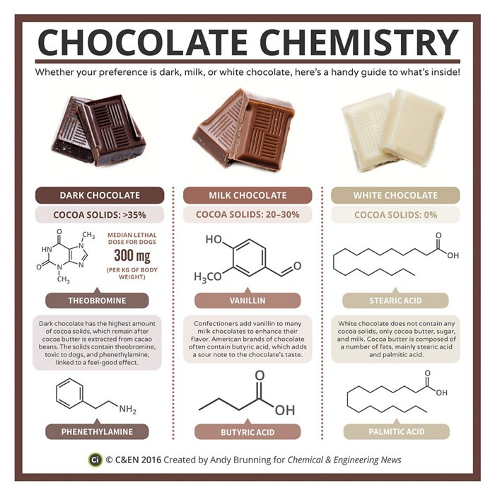 Infographic looking at the differences between dark, milk and white chocolate. Dark chocolate has the highest percentage of cocoa solids and consequently higher levels of theobromine, which is toxic to dogs. White chocolate doesn't contain any cocoa solids.
