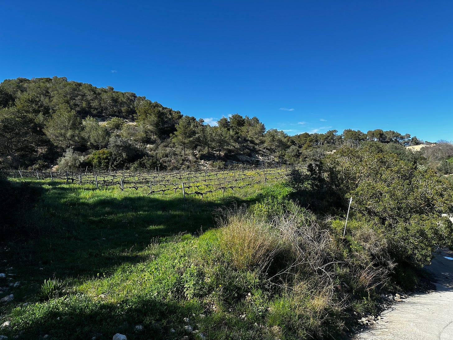 Parc del Foix, Spain