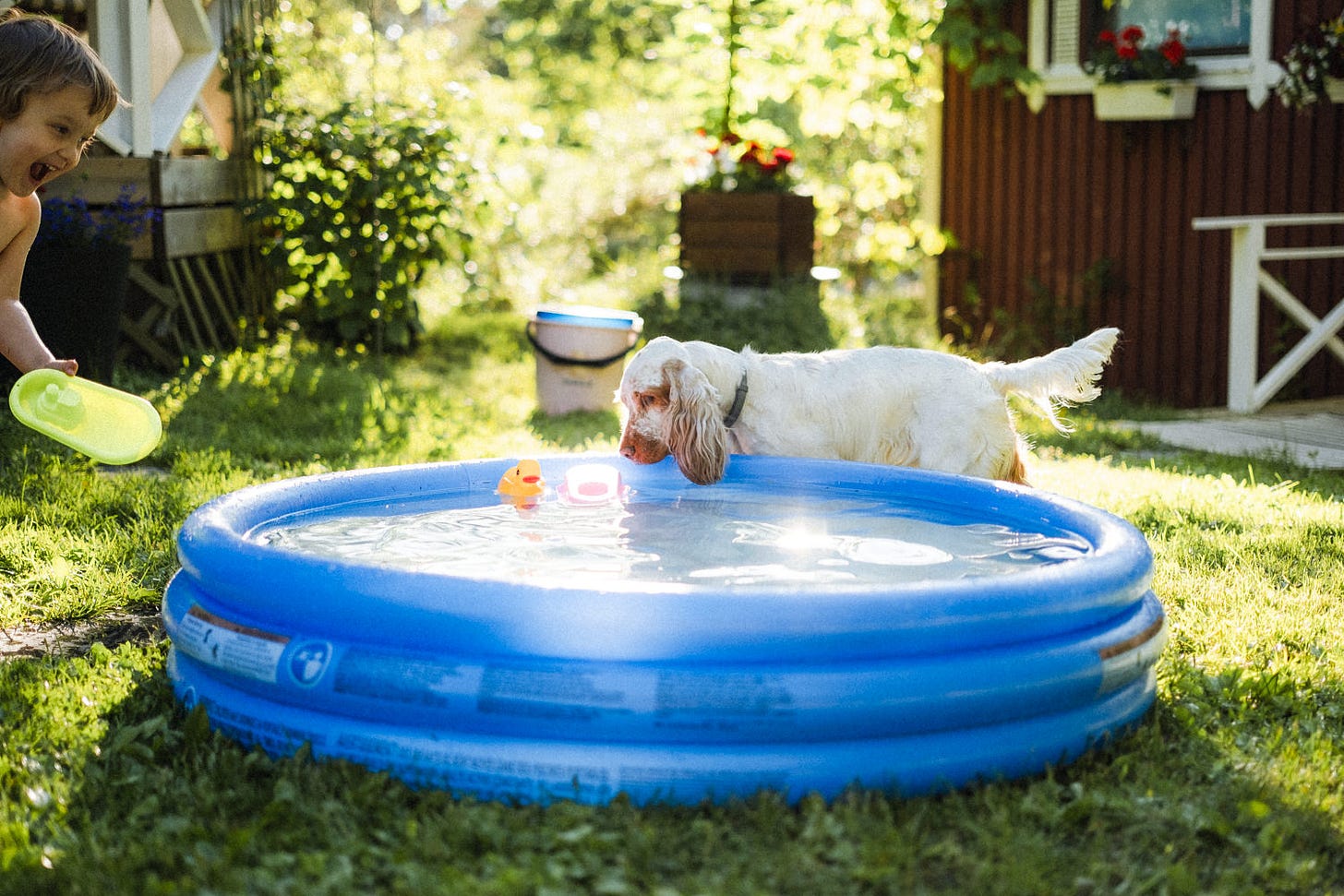 wading pool summer finland