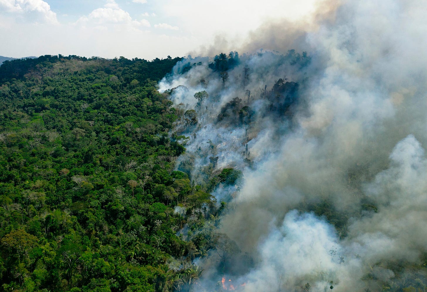 Amazon Rainforest Fires