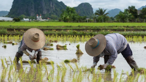 Bongbong Marcos signs New Agrarian Emancipation Act