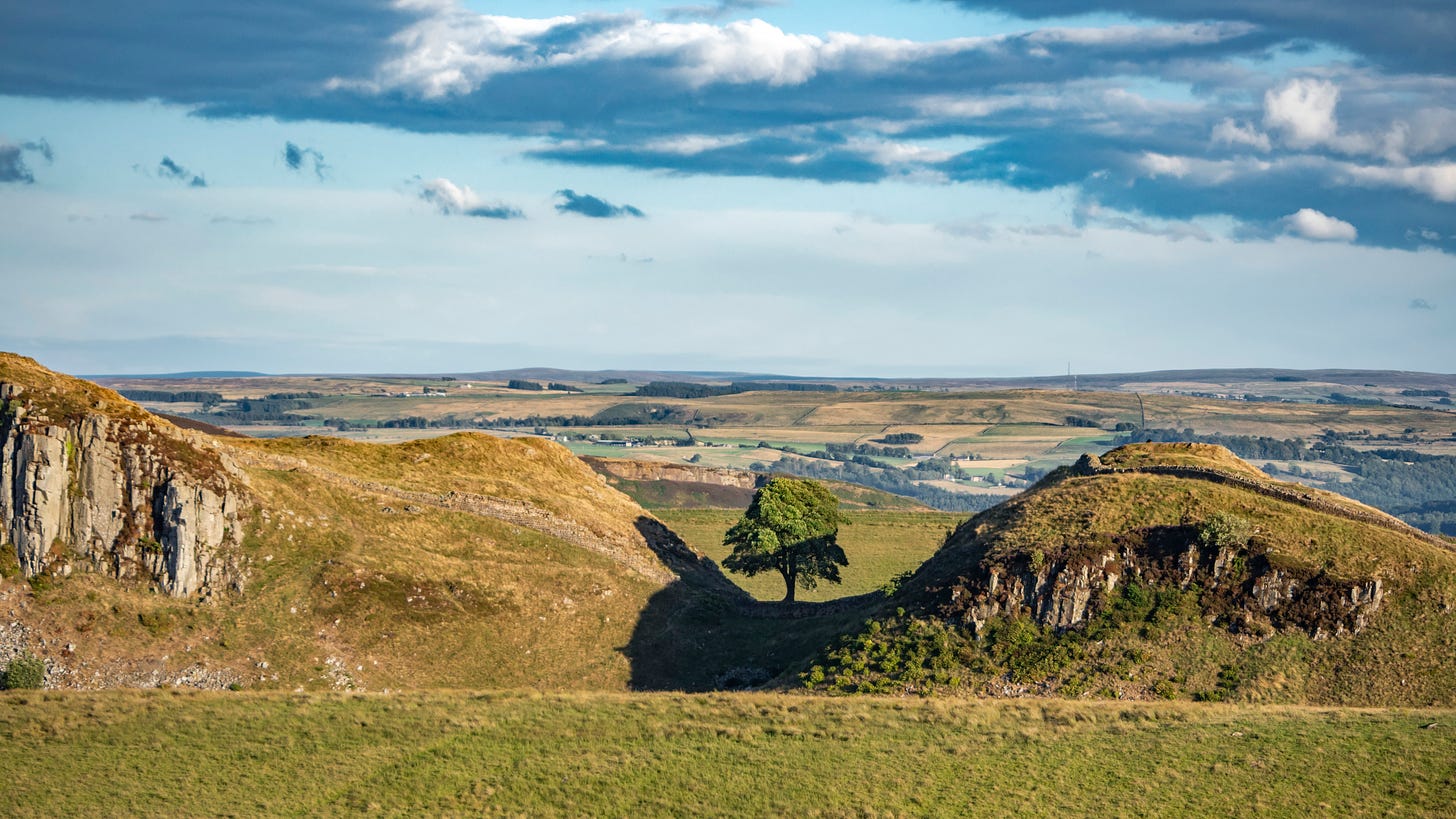 image description and credit:a colour photograph of the iconic Sycamore of Sycamore Gap at Hadrian's Wall, taken from a distance so it shows the tree nestled between the hills and the stunning landscape of hills, fields, trees and woodlands beyond. i chose this because it reflects both the details and the big picture going on here.photo by Ben Ponsford, shared with a CC: BY-NC-SA licence, via flickr https://www.flickr.com/photos/benponsford/29563281447/