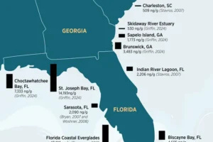 Scientists have found elevated mercury levels in dolphins throughout the Southeast since 2007. Sources: Bryan, Damseaux, Griffin, Stavros, Woshner.