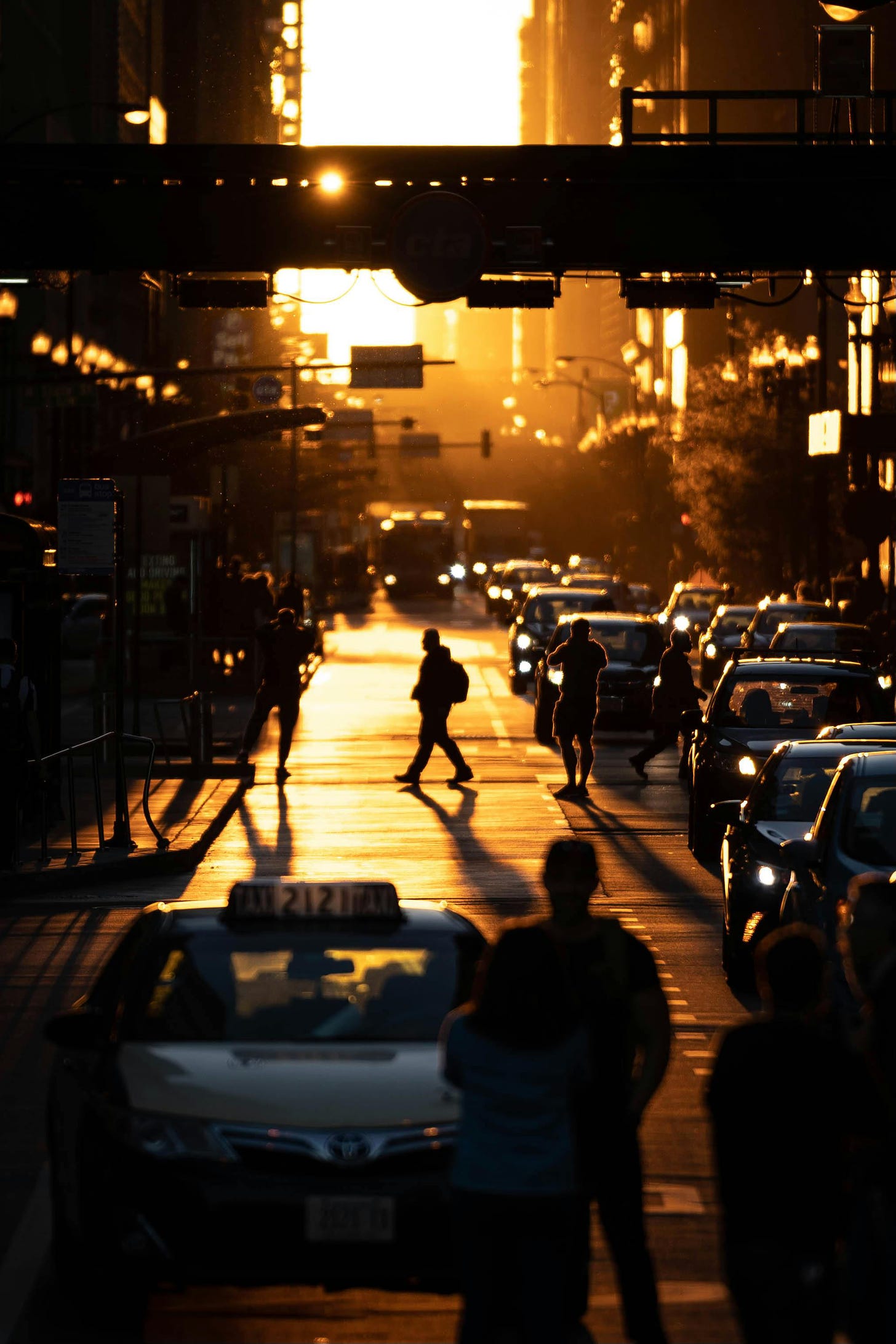 https://www.pexels.com/pt-br/foto/pessoas-andando-na-rua-durante-a-hora-dourada-1687168/