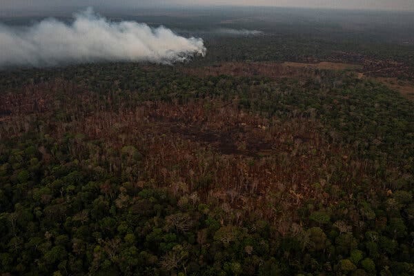 Burning near Porto Velho, in Rondônia state in Brazil in 2019.