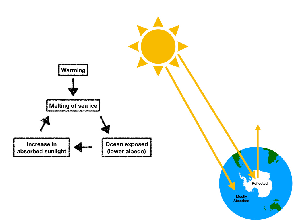 Ice–albedo feedback - Wikipedia Ice–albedo feedback - Wikipedia