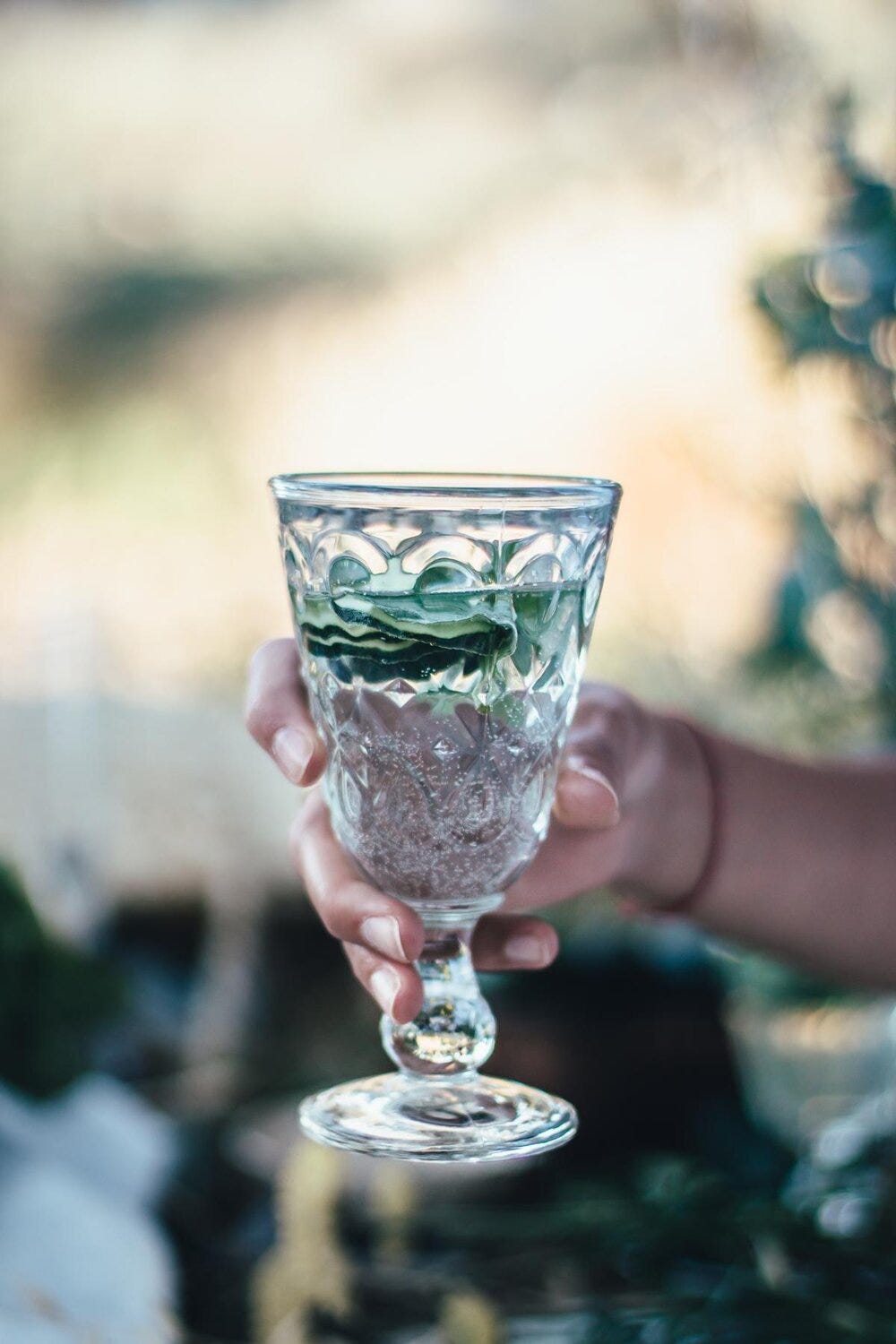 Persian Cucumber Sekanjebin Drink 03.jpg Persian Cucumber Sekanjebin Drink 03.jpg