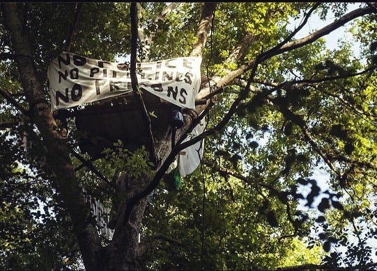 The effort to save Atlanta's Forests - News, Paganism, U.S., World