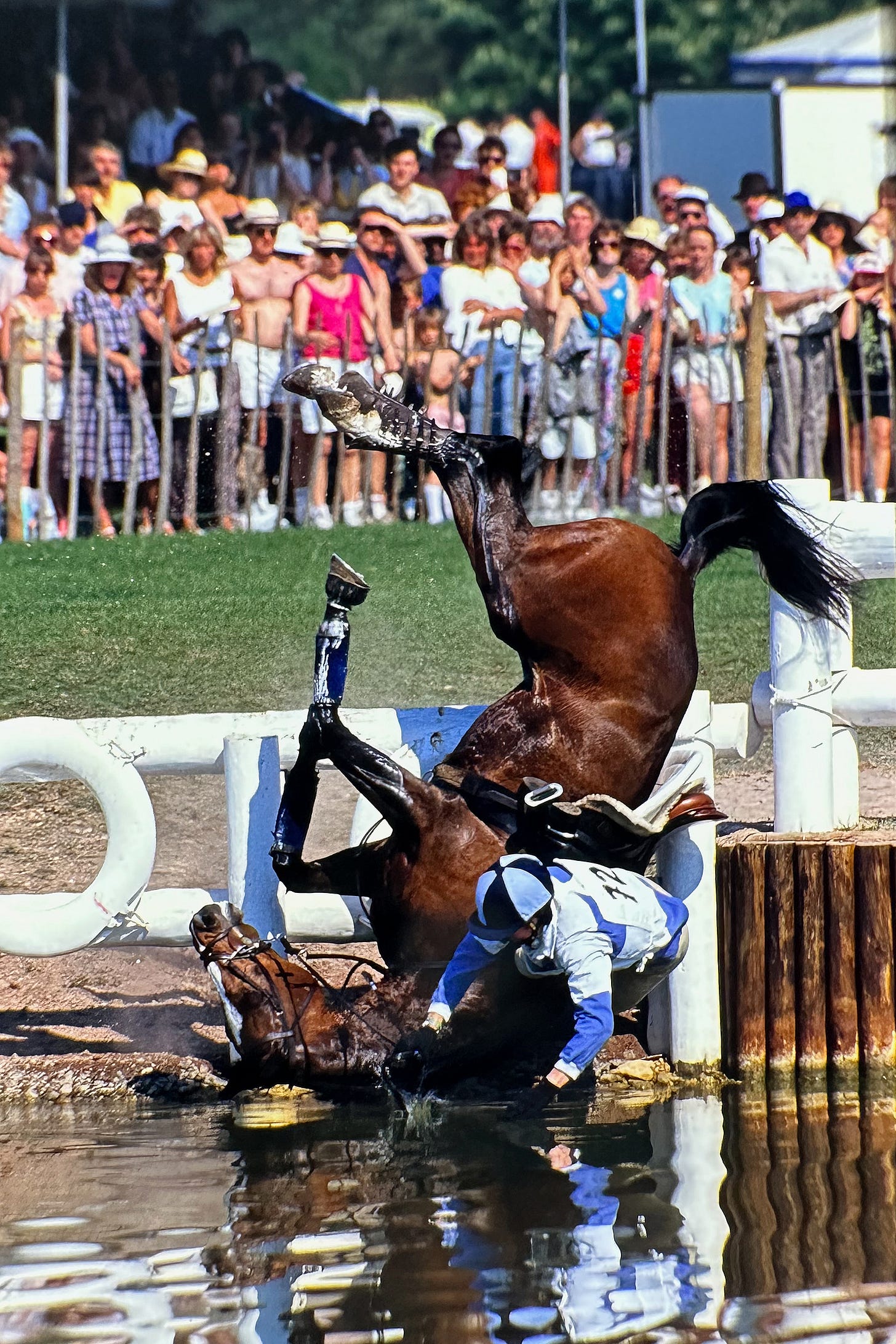 Photograph of a horse and rider falling at a water jump with a crowd of people behind at a three-day event.