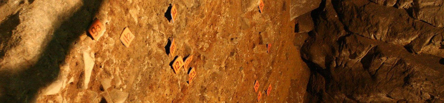 Sediment column in Denisova Cave showing labels with layer numbers
