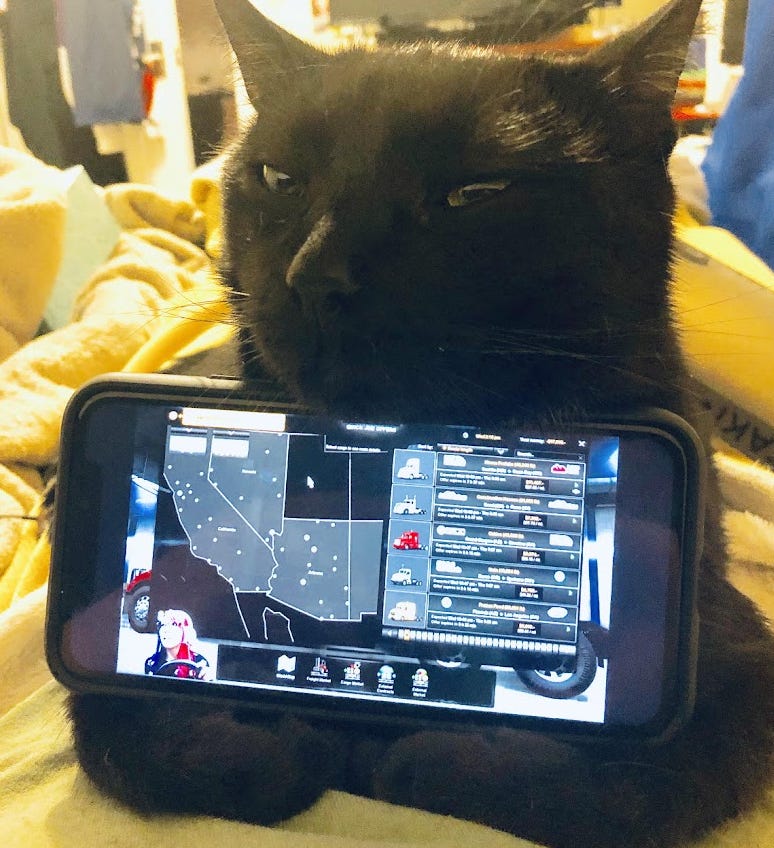 a black cat holding an iPhone between it's chin and paws