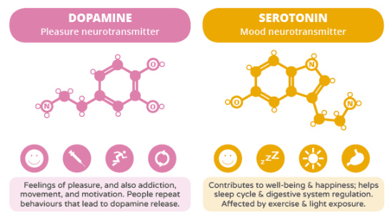 Neurotransmitters: Dopamine and Serotonin