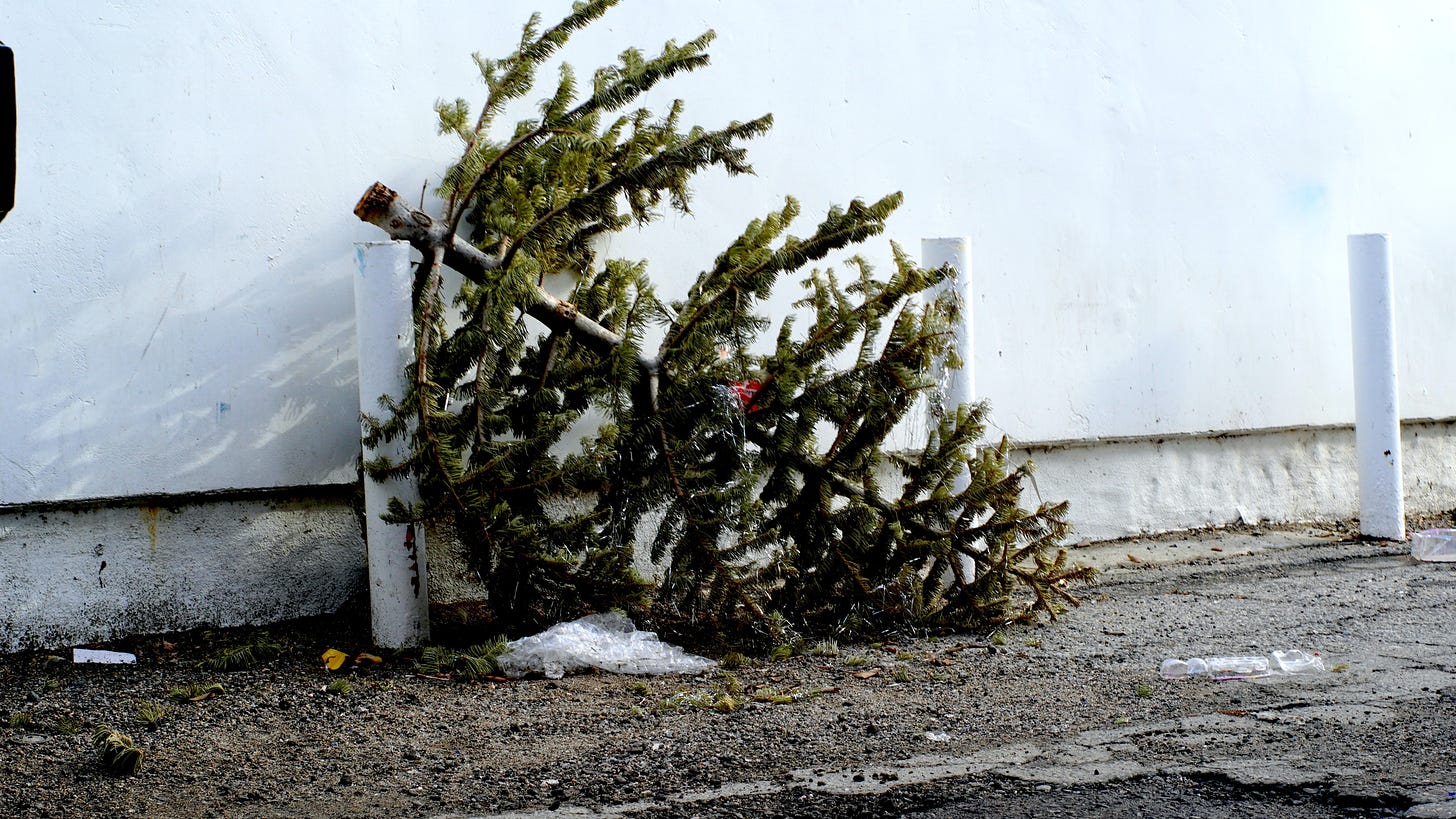 A Christmas tree on its side by a dumpster to communicate something once beautiful now cast out like trash.