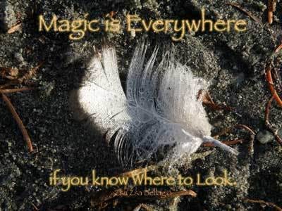 magic-is-everywhere