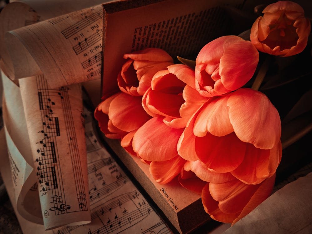 Music and Tulips ...