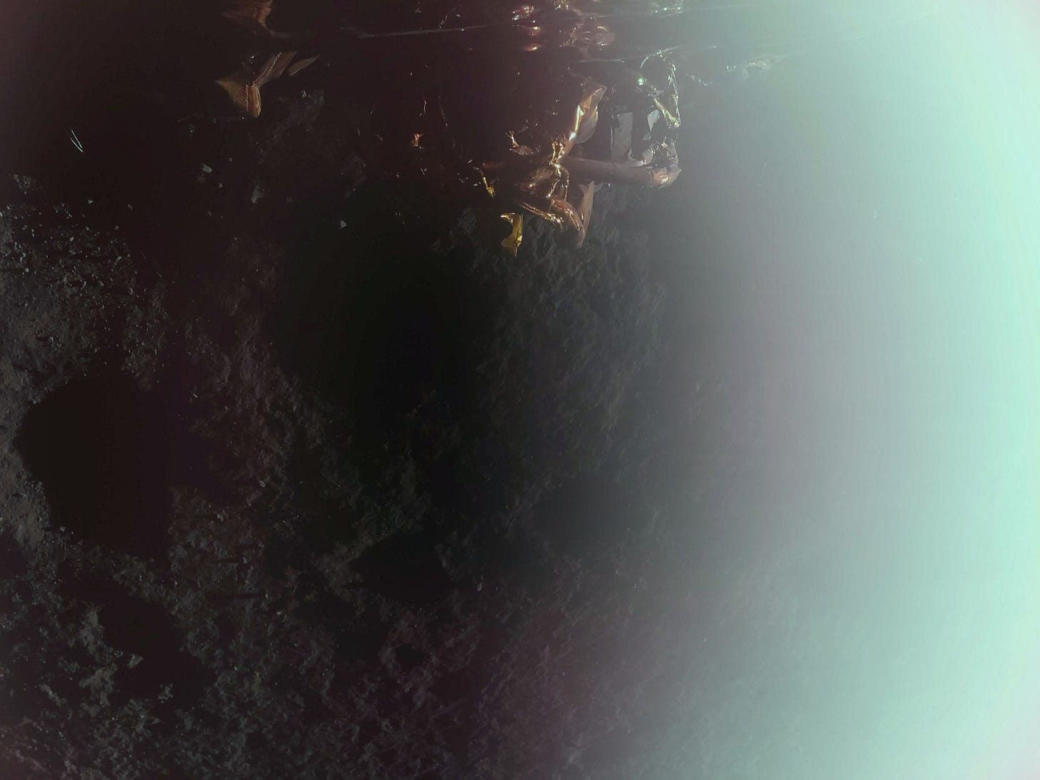 First image captured by Firefly's Blue Ghost lunar lander, taken shortly after confirmation of a successful landing at Mare Crisium on the Moon's near side. This is the second lunar delivery of NASA science and tech instruments as part of the agency's Commercial Lunar Payload Services initiative.
