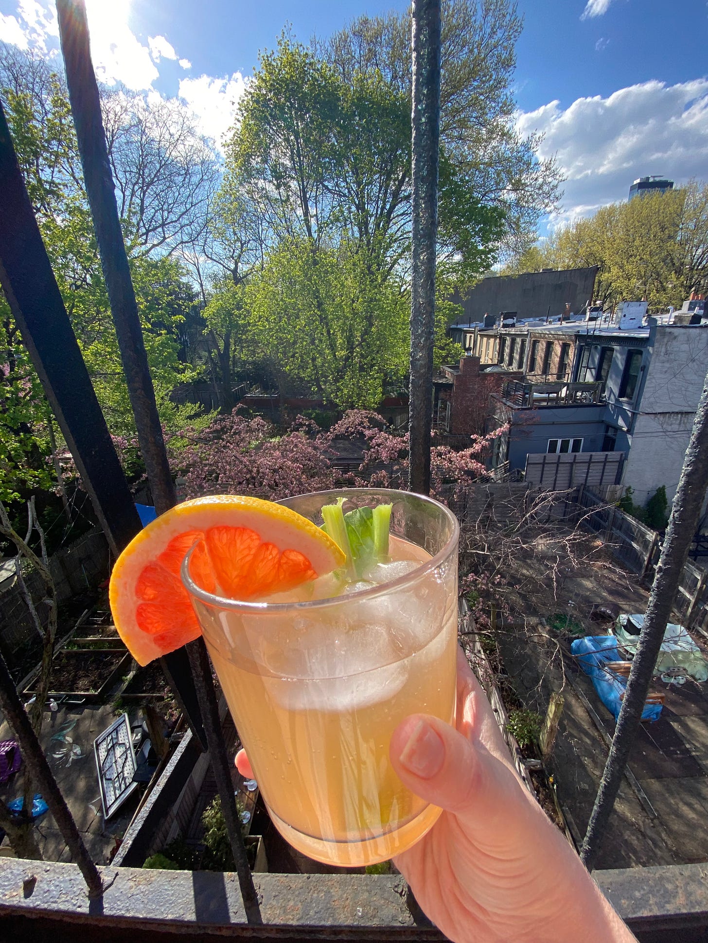 Hand holding glass of rhubarb drink with trees in background