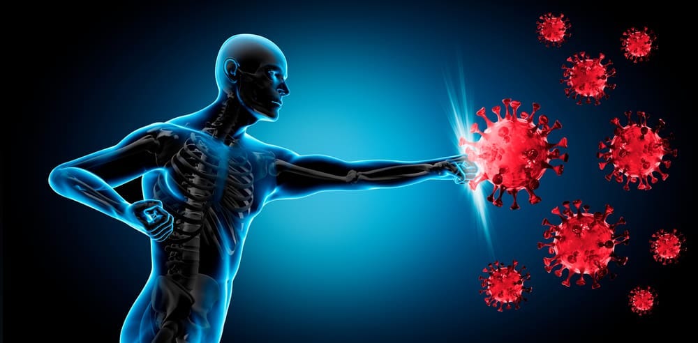 How Chiropractic Care Boosts the Immune System to Keep You Healthy