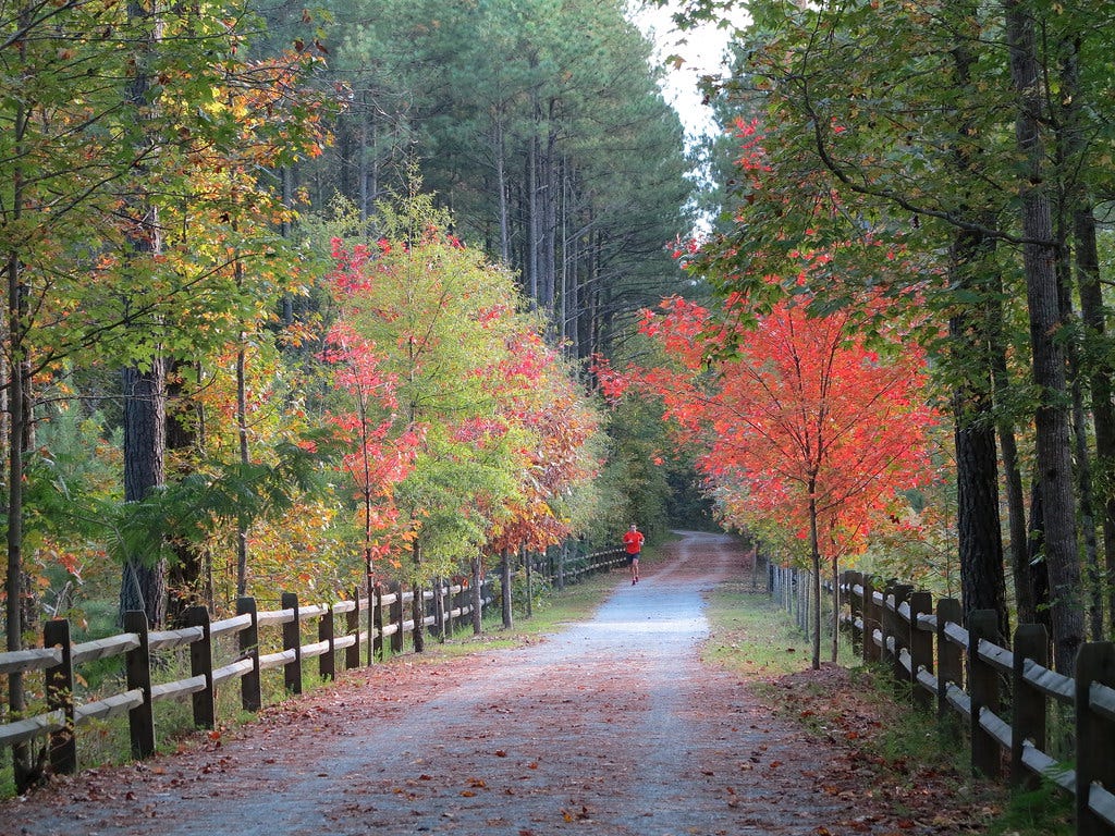 American Tobacco Trail Foliage | Fall foliage on the America… | Flickr