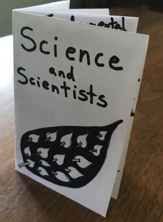 images of zine about being a scientist and science