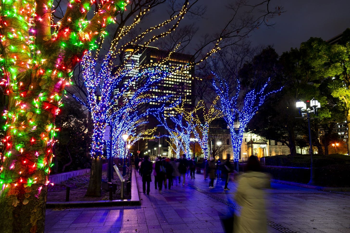 Illuminations in Japan