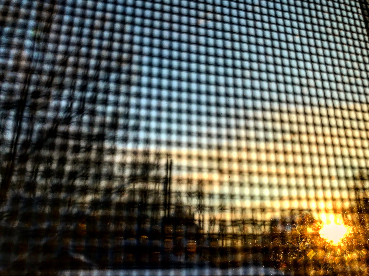 An unfocused close-up of a windowscreen with a sunrise in the blurry background