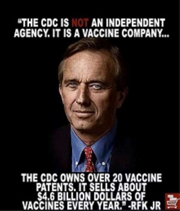 Image result from https://www.modernghana.com/news/862067/can-robert-f-kennedy-jr-fight-the-vaccine-mafia-alone.html